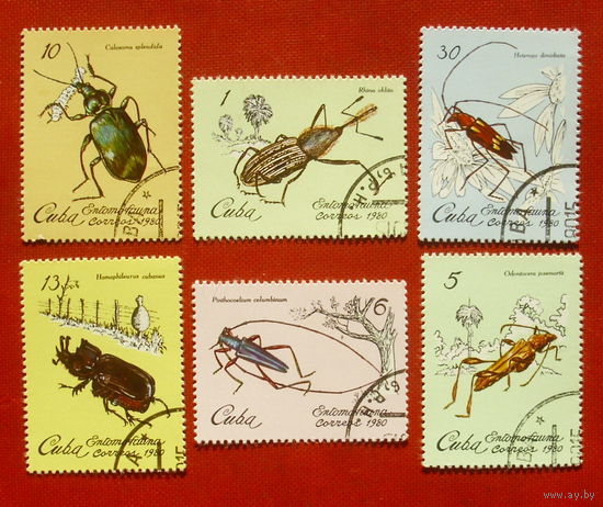Куба. Жуки. ( 6 марок ) 1980 года. 9-21.