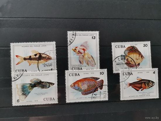 Куба 1978г. Рыбы в аквариуме парка Ленина, Гавана **