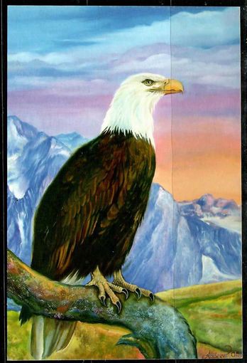 Почтовая карточка "белоголовый орлан"