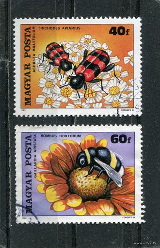Венгрия. Пчелы