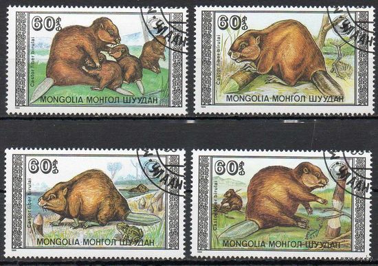 Фауна Бобры Монголия 1989 год серия из 4-х марок