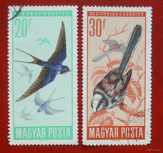 Венгрия. Птицы. ( 2 марки ) 1966 года. 8-7.