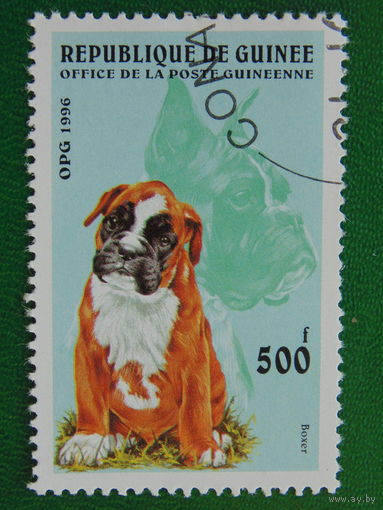 Гвинея 1996г. Фауна.