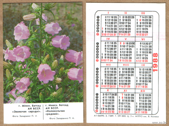 Календарь Минский ботанический сад Колокольчик средний 1988