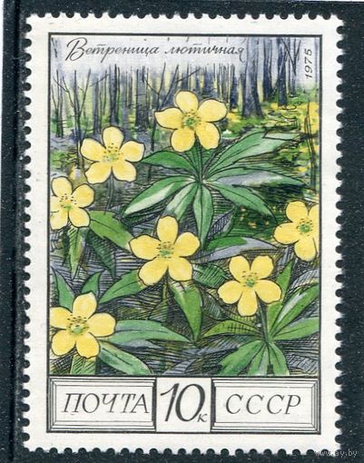СССР 1975. Флора. Ветреница лютичная