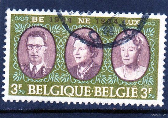 Бельгия. Ми-1366. Бенилюкс.Совместный выпуск с Люксембургом и Нидерландами. 1964.
