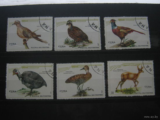 Марки - Куба птицы фауна