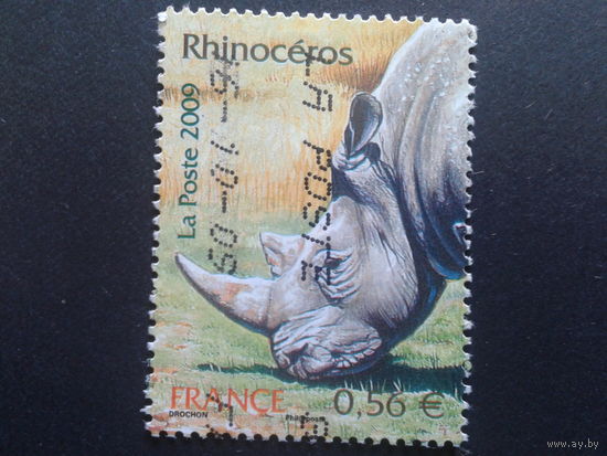 Франция 2009 носорог