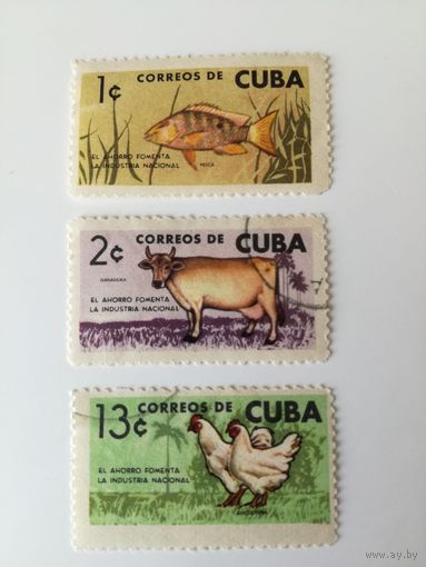 Куба 1964. Фауна. Животные