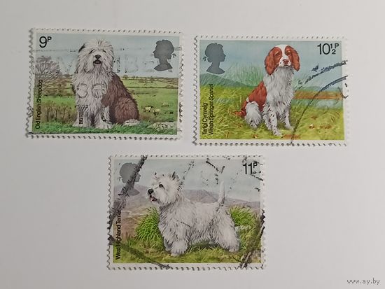 Великобритания 1979. Собаки