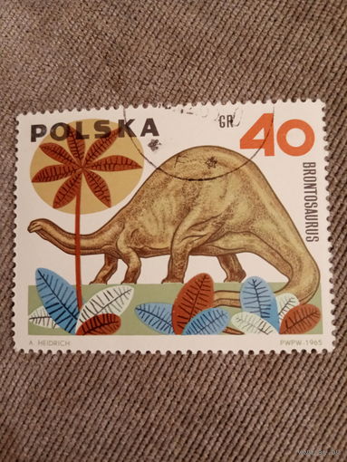 Польша 1965. Бронтозавр