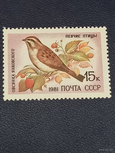 СССР 1981г.Певчие птицы. Овсянка Янковского