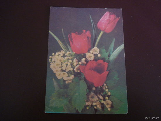 Открытка Букет цветов (чистая, СССР)