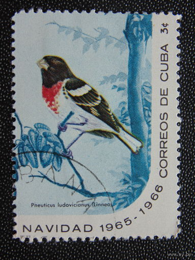 Куба 1965 г. Птицы.