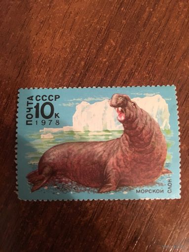 СССР 1978. Морской слон