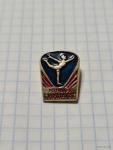 Значок ,,Юный гимнаст'' СССР.