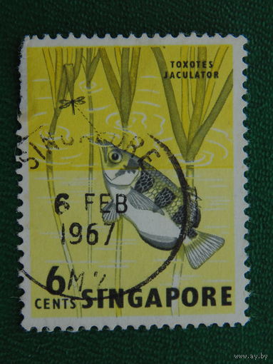 Сингапур 1967г. Рыбы.
