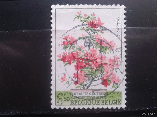 Бельгия 1975 Цветы, Азалия японская