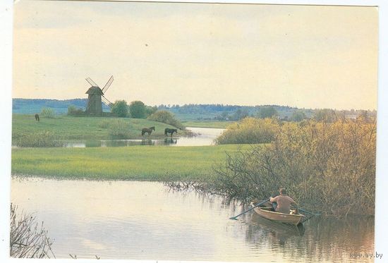 Природа. На реке Сороть. Фото О. Листопадова. 1986 год