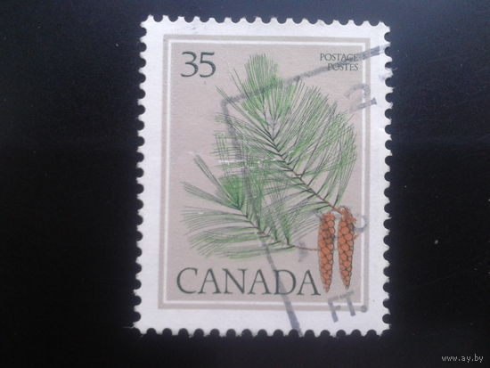 Канада 1979 стандарт, шишки