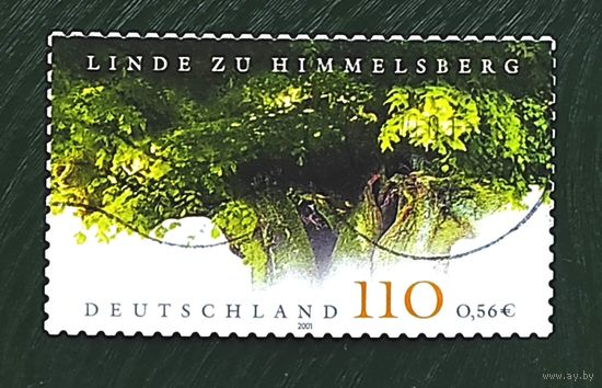 Германия: 1м дерево