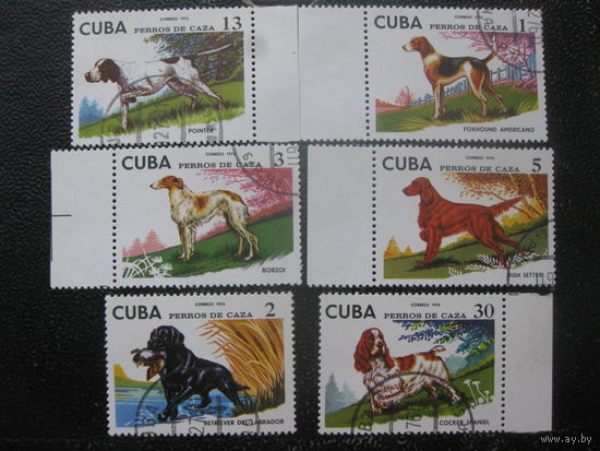 Куба серия охотничьи собаки охота