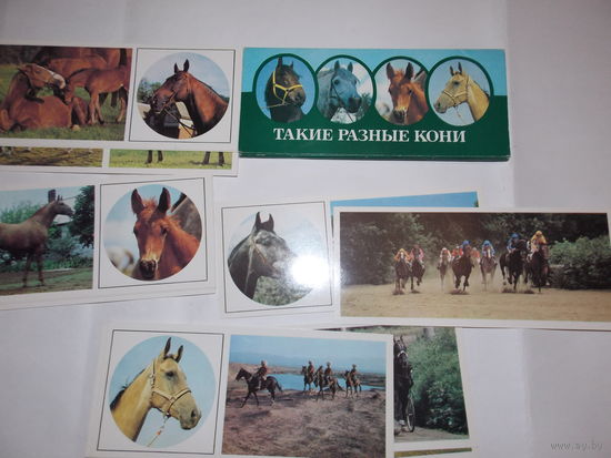 Набор открыток СССР,  Такие разные кони