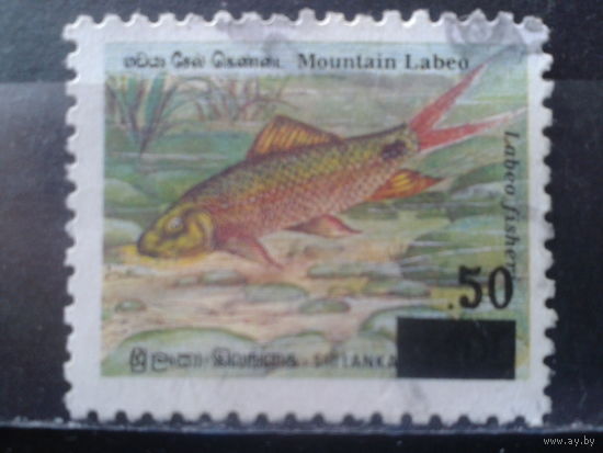 Шри-Ланка 2000 Рыба Надпечатка
