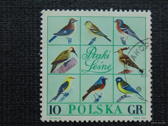 Польша 1966г. Птицы.