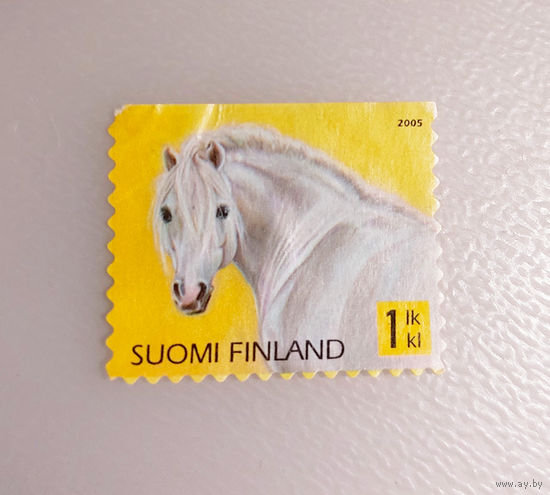 Финляндия 2005. Фауна. Лошадь. Белое пони
