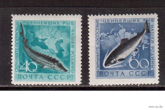 СССР-1959, (Заг.2246-2247)  *  (след от накл.) , Фауна, Рыбы