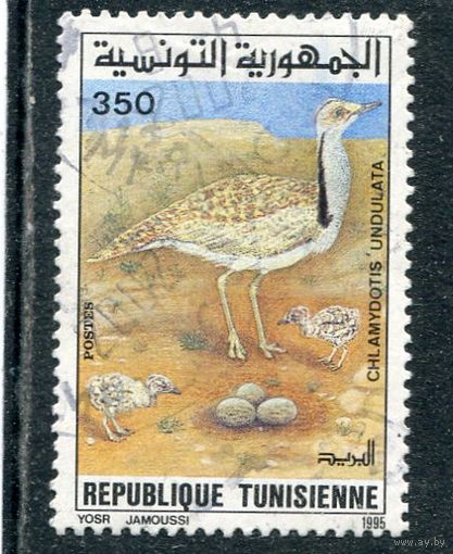 Тунис. Фауна
