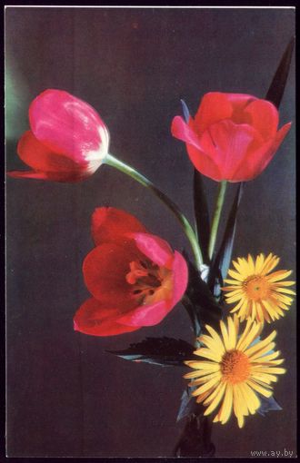 1977 год Л.Данилкин Композиция из цветов