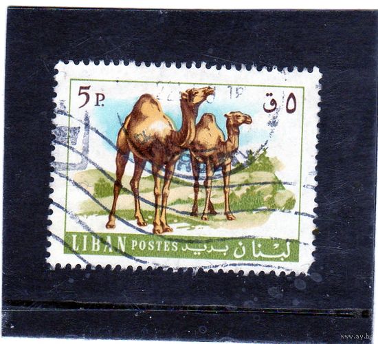 Ливан.Ми-1024. Верблюд дромадер (Camelus dromedarius). Серия: Животные и рыбы.1968.