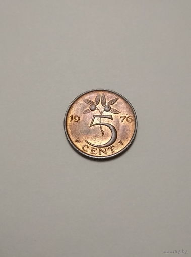 Нидерланды / 5 cent / 1976 год