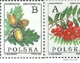 1995 Польша флора стандарт серия Лесные Ягоды **