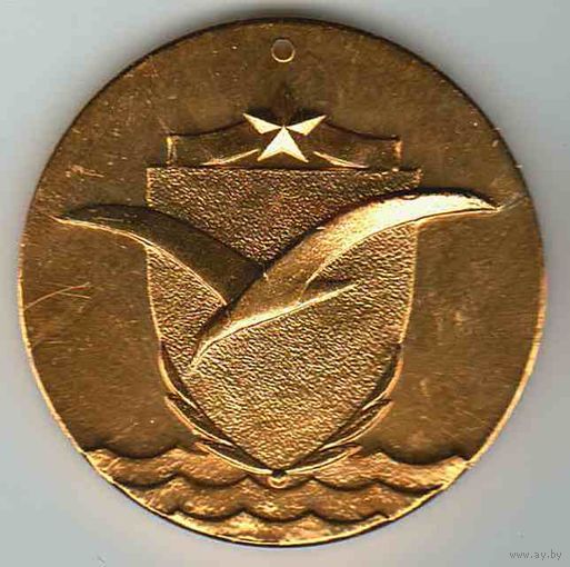 Медаль, Спорт, ДСО, Киев, Городской Совет, Буревестник, 3 Место, Чайка