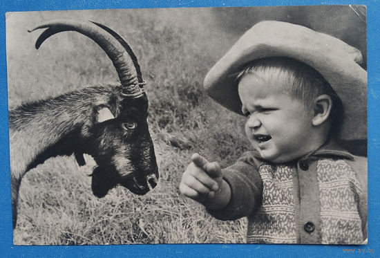 Робский М. Фарбер Г. Мальчик и коза. Фотооткрытка. 1964 г. Чистая