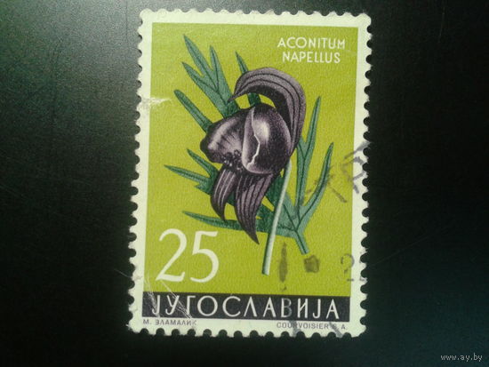 Югославия, 1959. Аконит