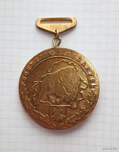 Медаль чемпион Беларусь