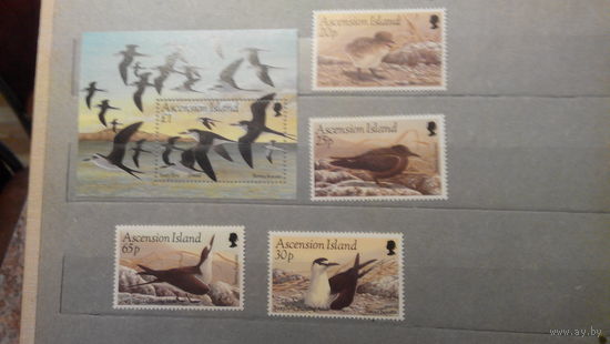 Птицы, блок и 4 марки, остров Вознесения, 1994, фауна