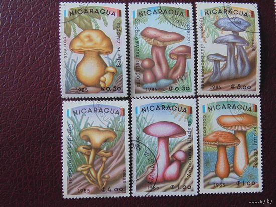 Никарагуа 1985 г. Грибы.