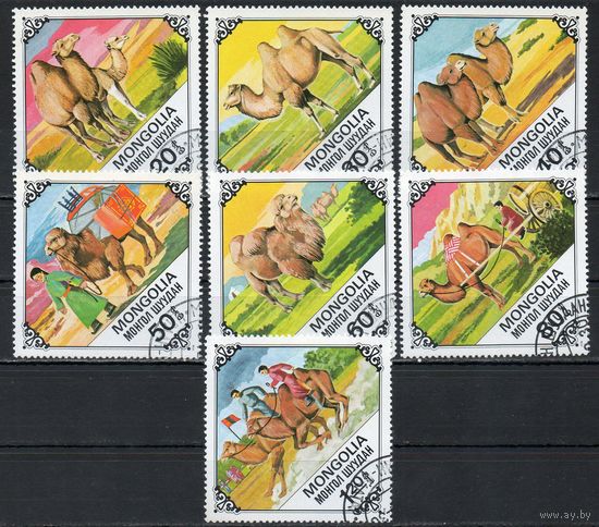 Фауна Верблюды Монголия 1978 год серия из 7 марок