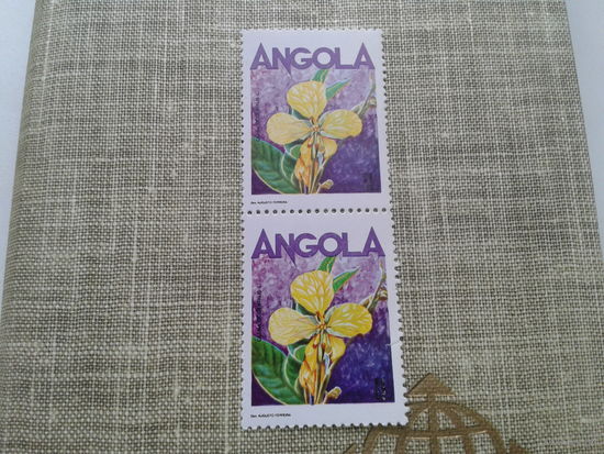 Ангола флора