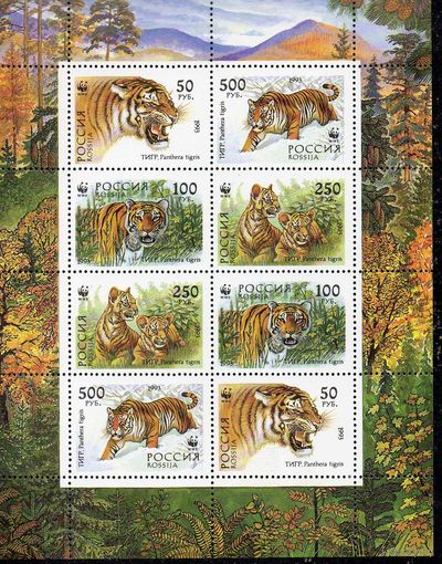 Уссурийский тигр Россия 1993 год (124-127) малый лист из 2-х серий