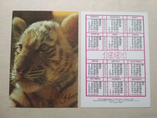 Карманный календарик. Тигр. 1991 год