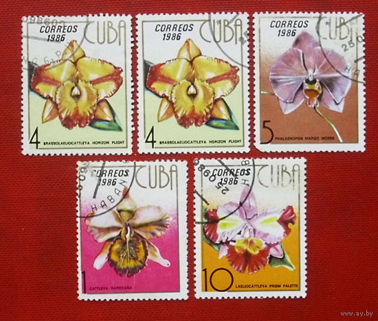 Куба. Цветы. ( 5 марок ) 1986 года. 10-18.