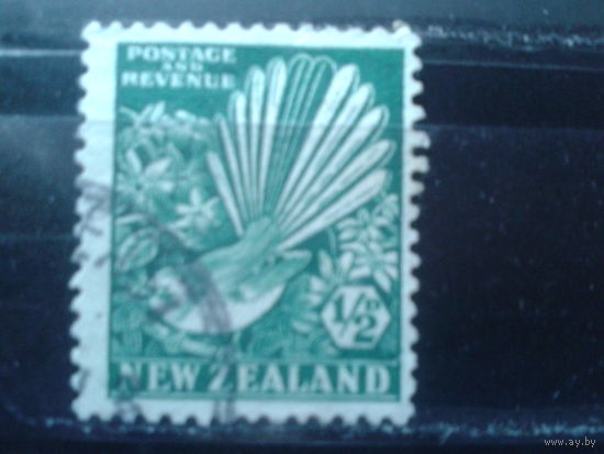Новая Зеландия 1935 Стандарт, птица веерохвостка