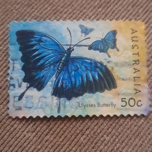 Австралия 2003. Бабочки. Ulysses Butterfly