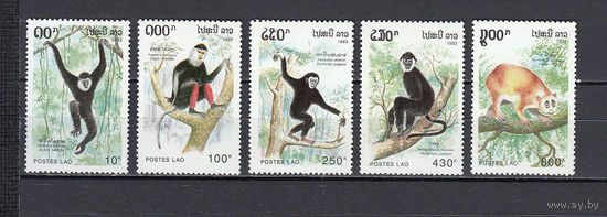 Фауна. Обезьяны. Лаос. 1992. 5 марок. Michel N 1337-1341 (8,0 е).